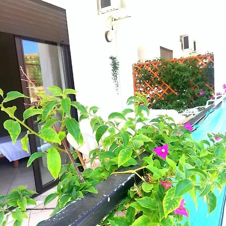 B&B Damiani Santa Maria di Castellabate Exterior foto
